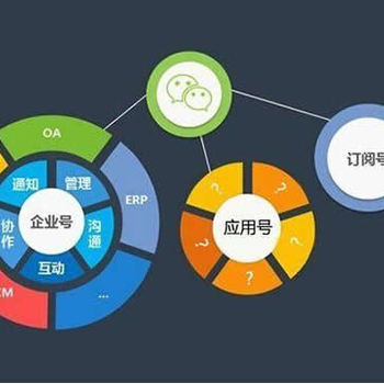 濟南路行網(wǎng)絡軟件開發(fā) 企業(yè)數(shù)字化轉型中的得力伙伴
